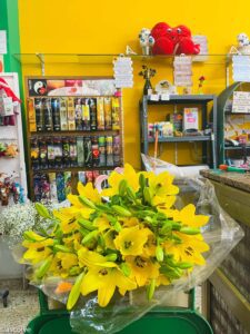 Floristería San Rafael