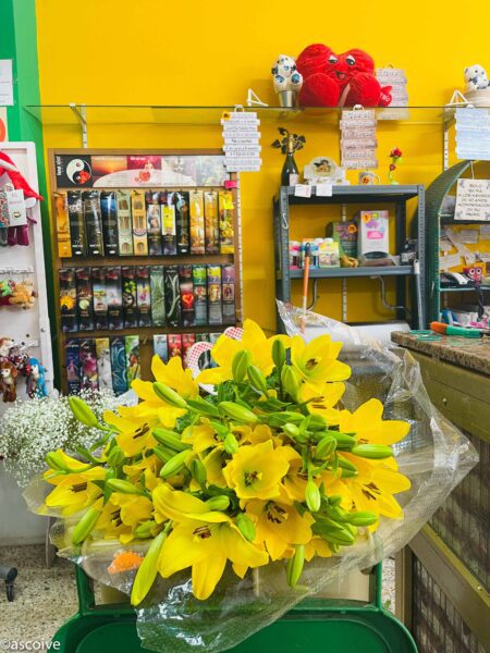 Floristería San Rafael