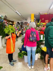 Floristería San Rafael
