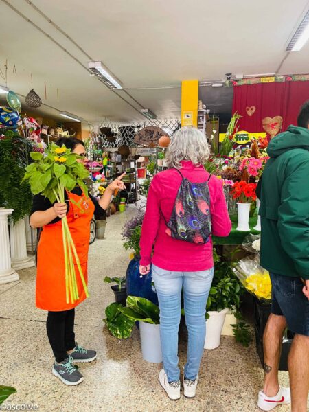 Floristería San Rafael